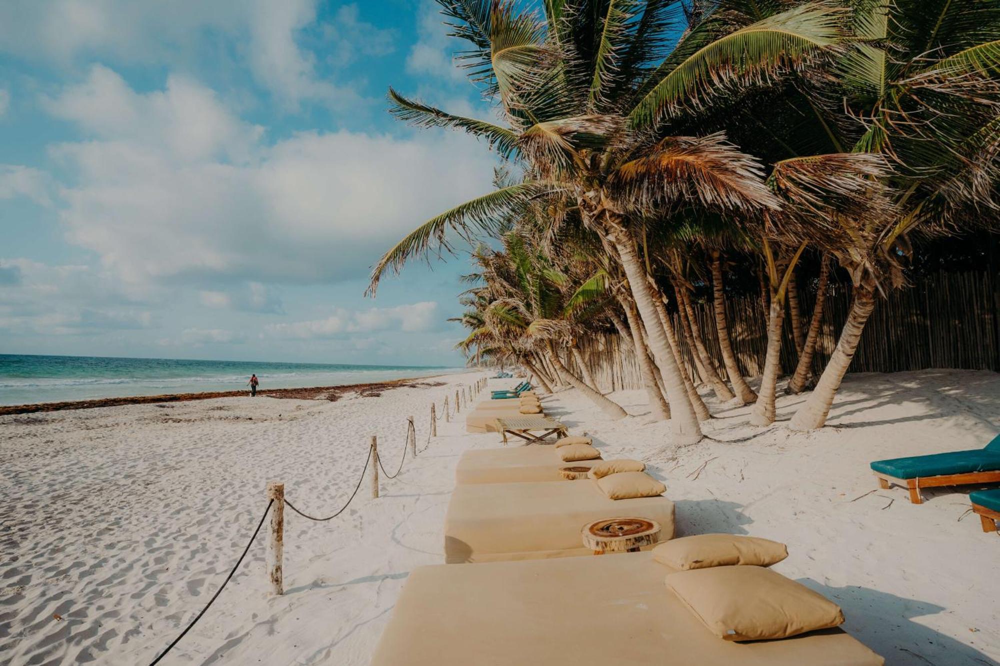With 2 Pools, Gym, Yoga Deck And Bbq Grill Appartamento Tulum