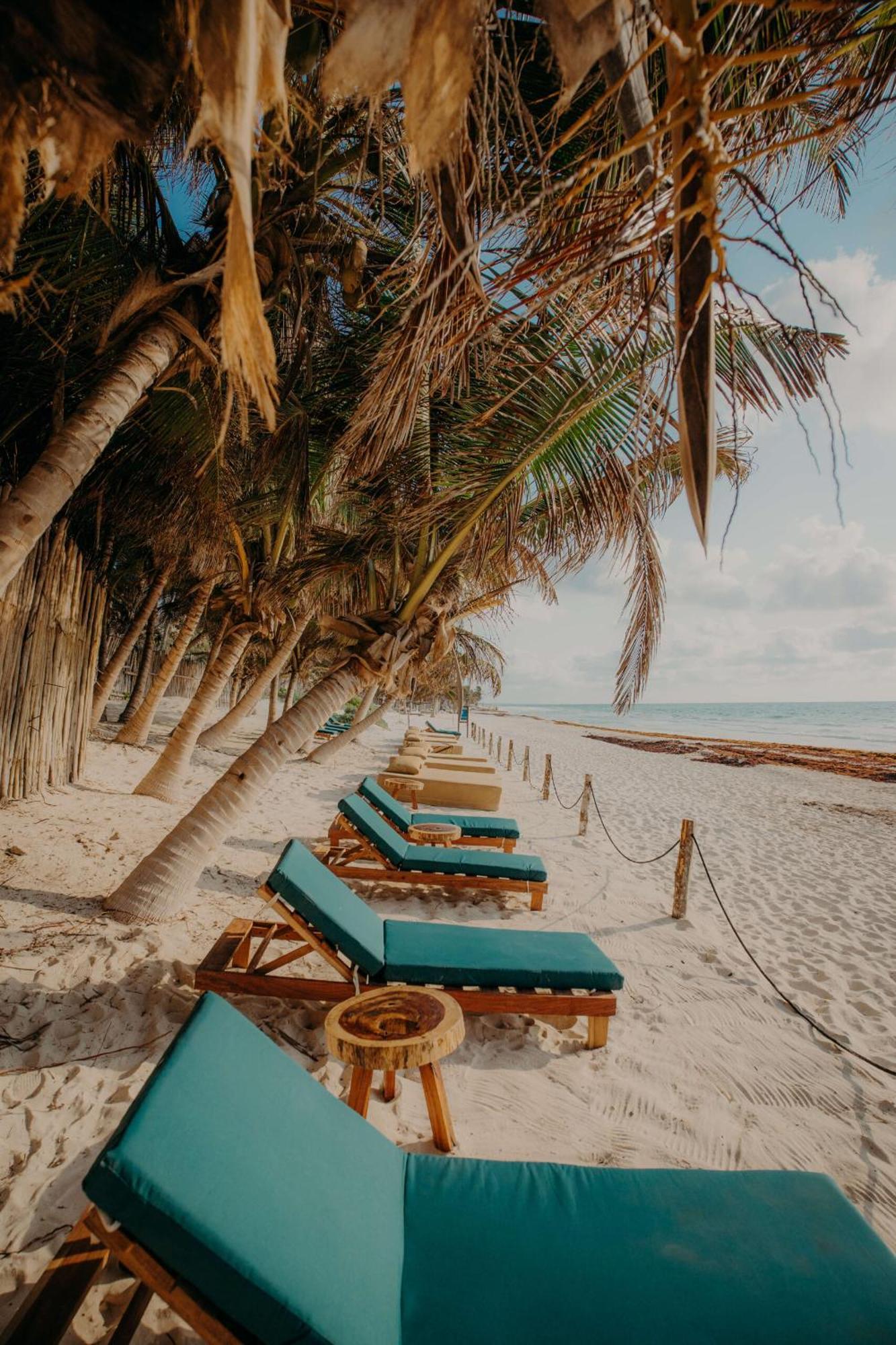 With 2 Pools, Gym, Yoga Deck And Bbq Grill * Tulum